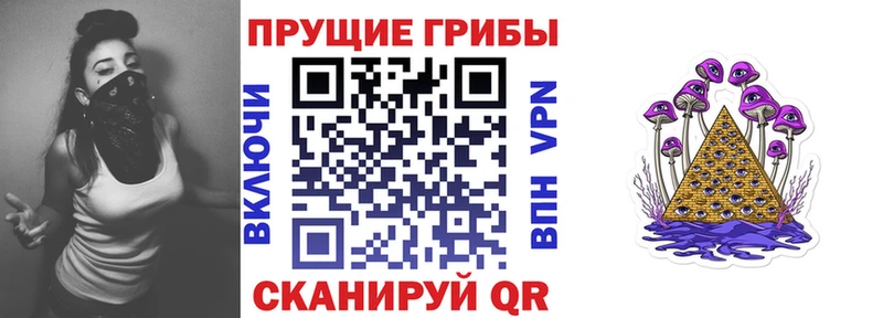 наркота  Кострома  Псилоцибиновые грибы Magic Shrooms 